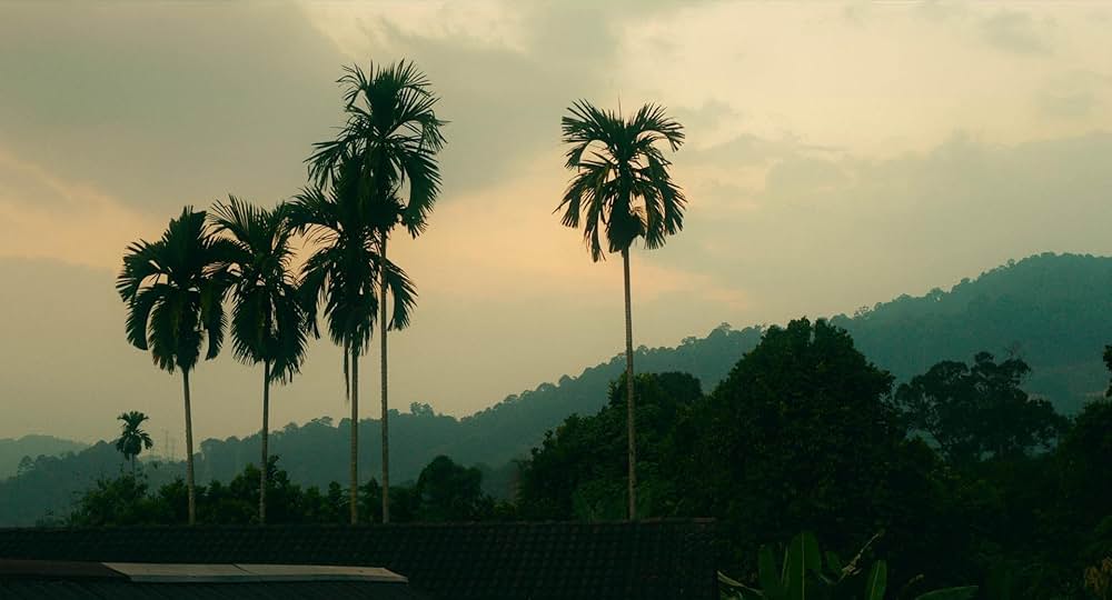 タイガー・ストライプスの画像