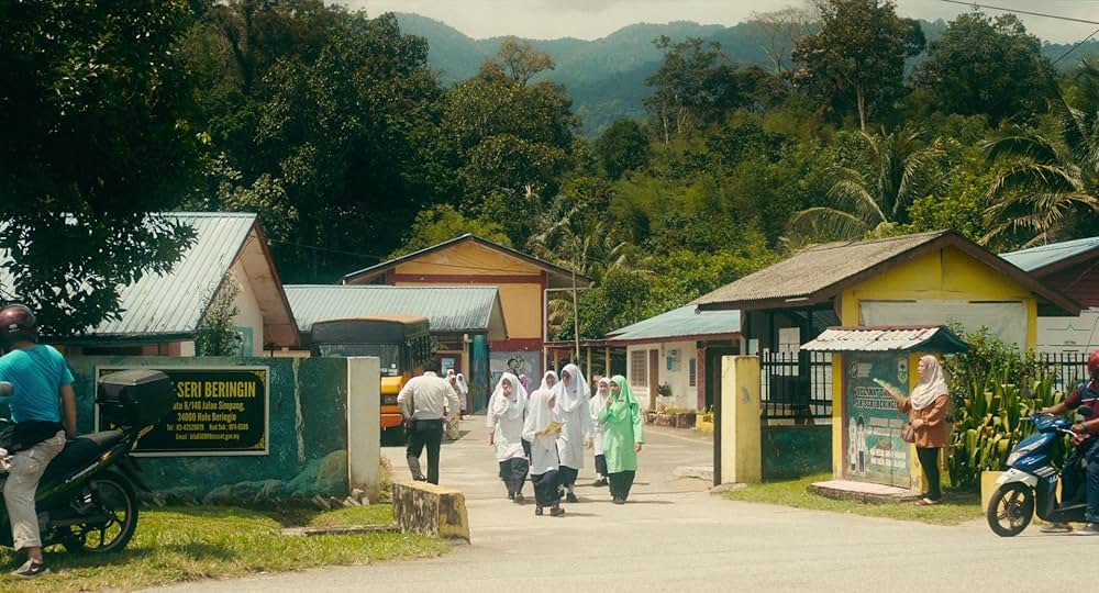 タイガー・ストライプスの画像