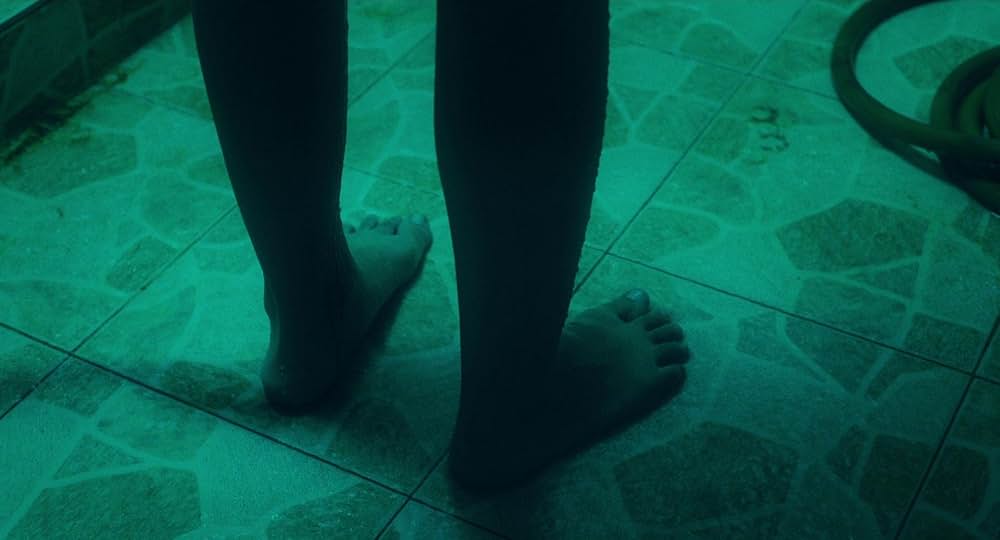 タイガー・ストライプスの画像