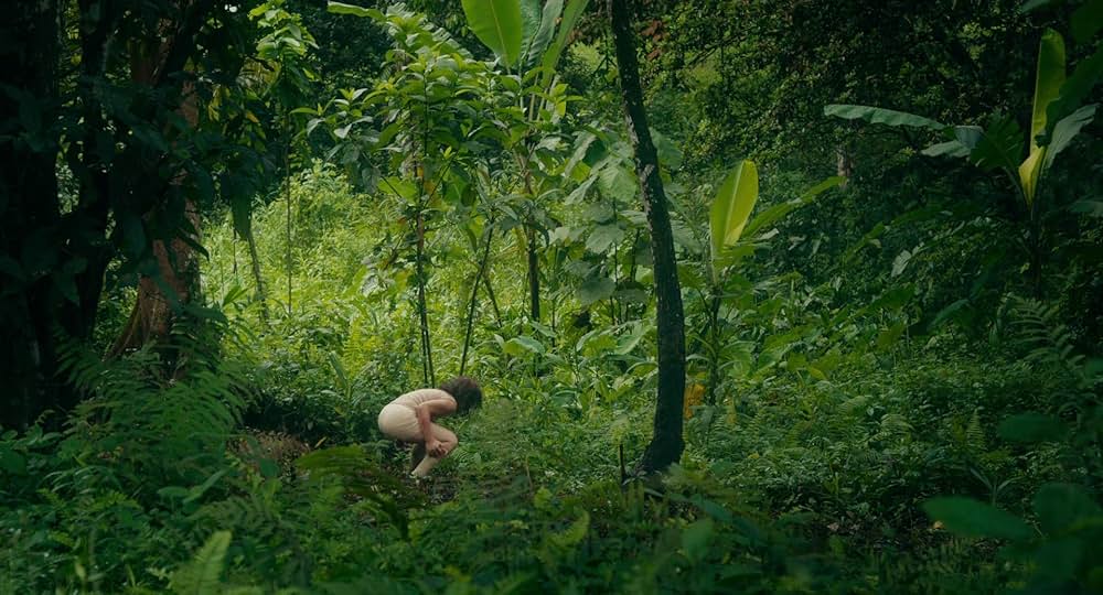 タイガー・ストライプスの画像