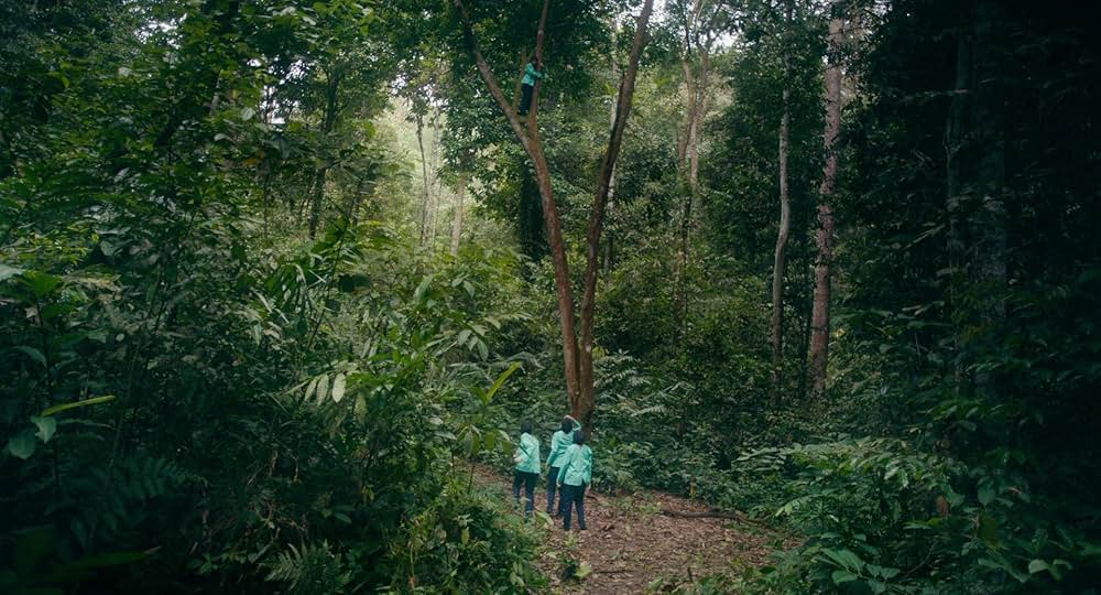 タイガー・ストライプスの画像