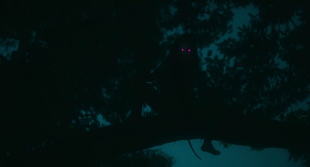 タイガー・ストライプスの画像