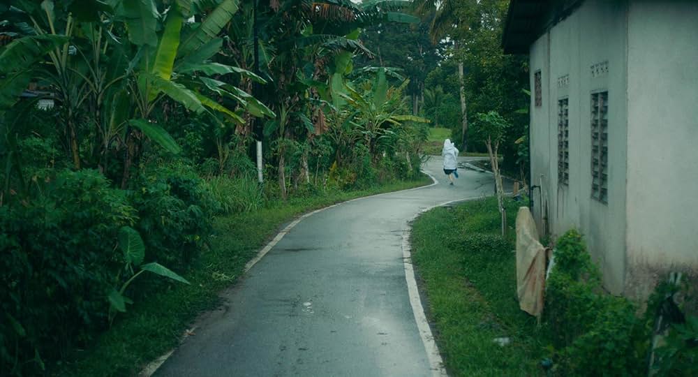 タイガー・ストライプスの画像