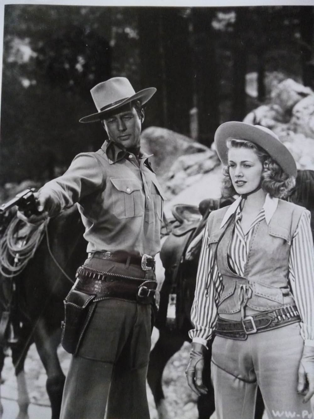 荒野の流れ者の画像