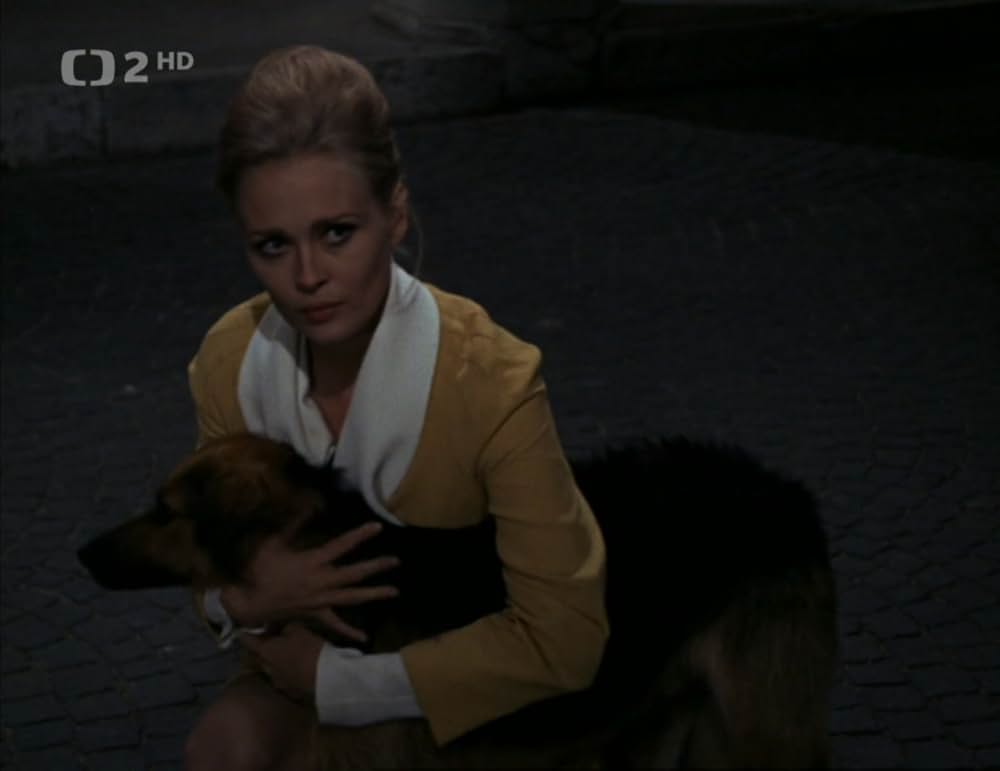 恋人たちの場所の画像