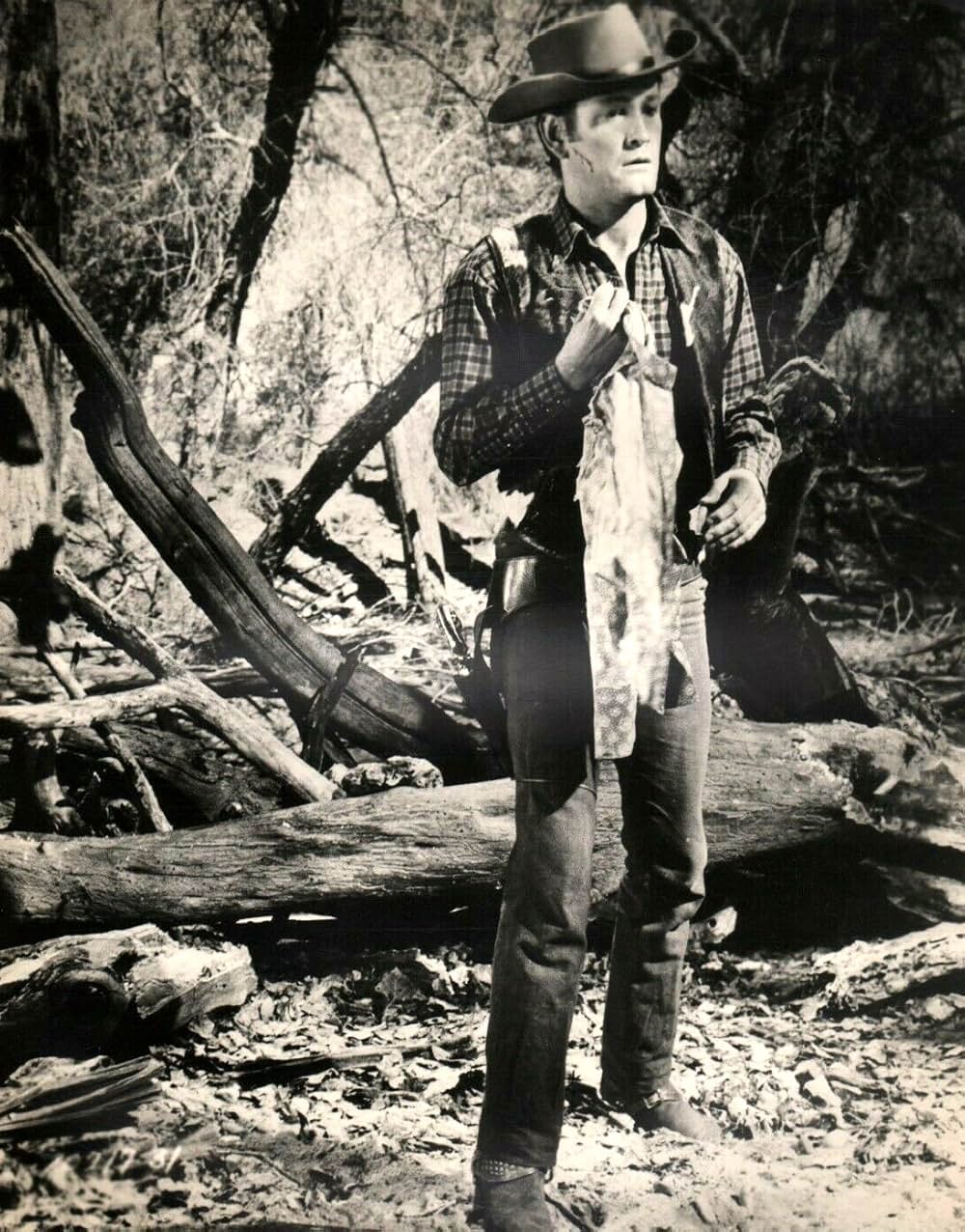 ガンヒルの決斗の画像