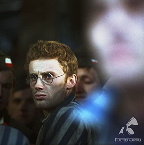 「戦いのあとの風景」ダニエル・オルブリフスキーの画像