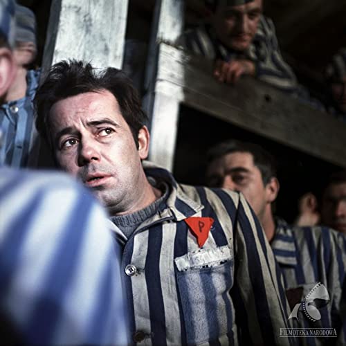 戦いのあとの風景の画像