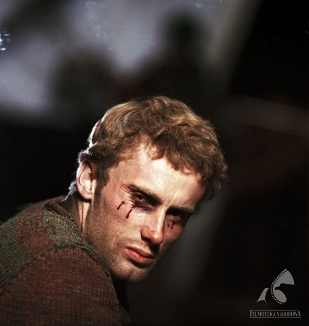 「戦いのあとの風景」ダニエル・オルブリフスキーの画像