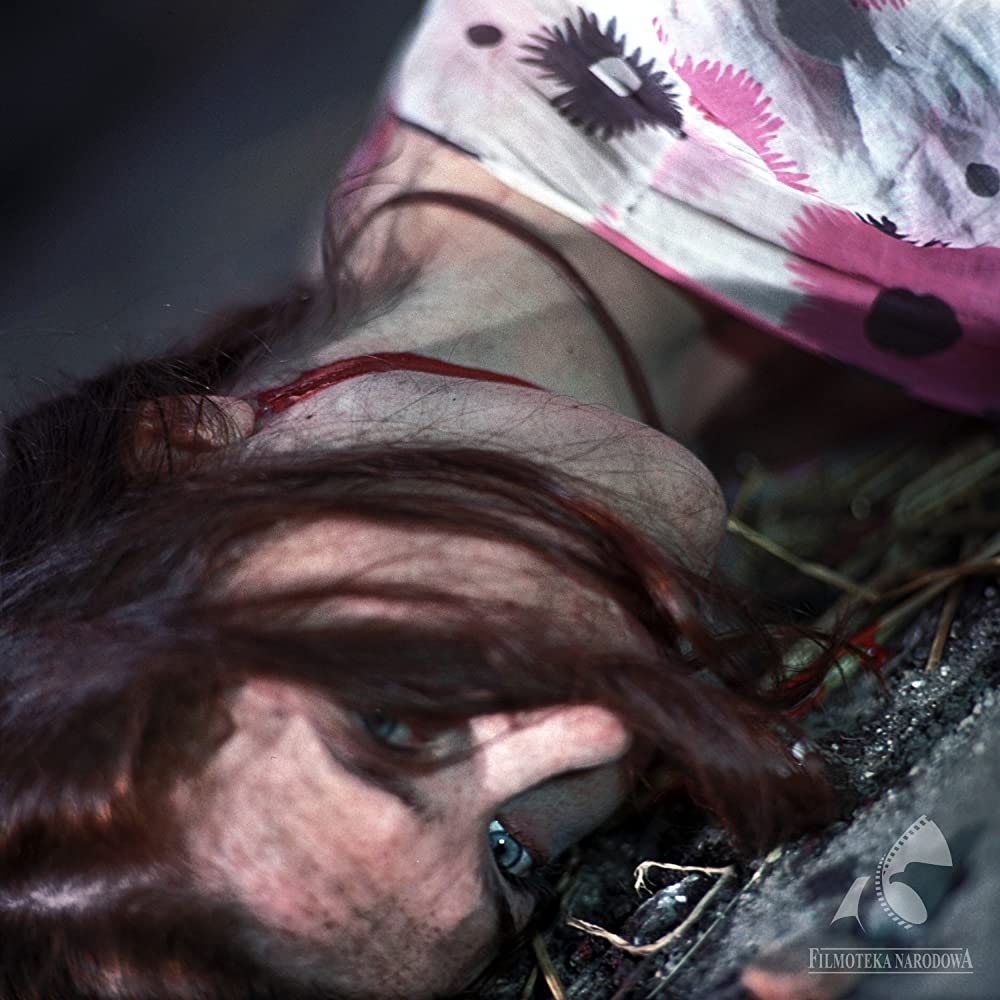 戦いのあとの風景の画像