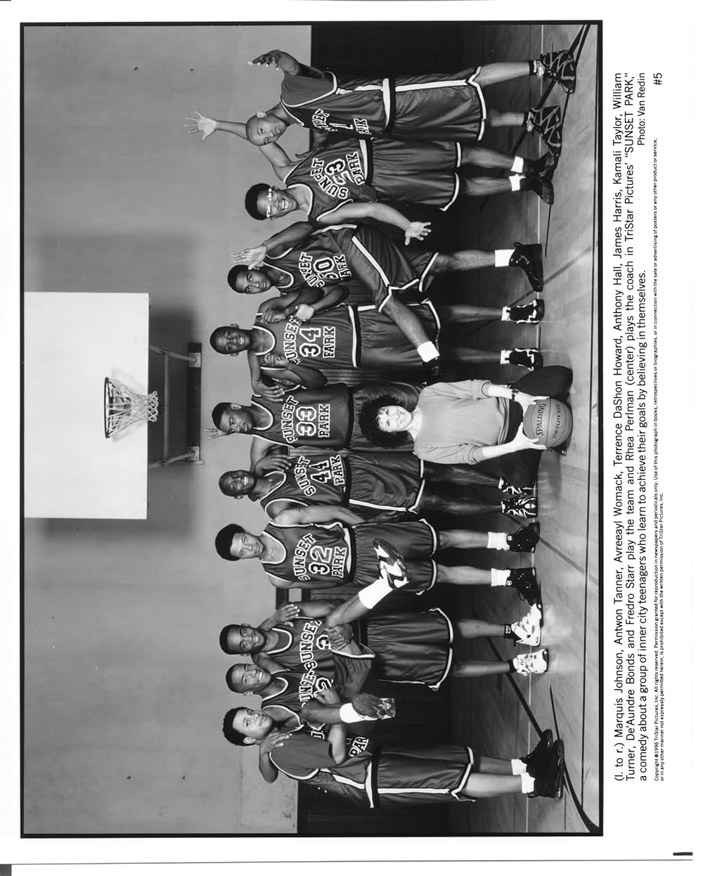 ザ・コーチ／勝利のダンクの画像