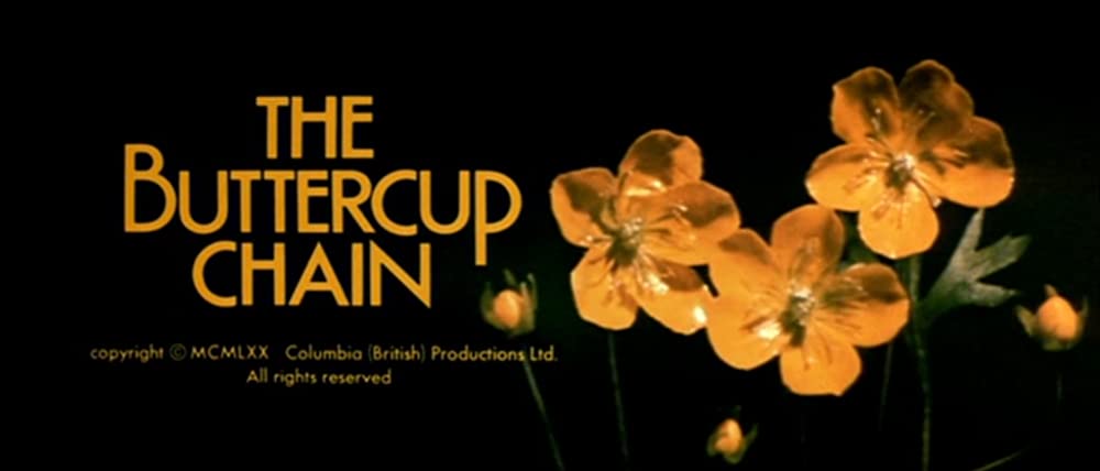 きんぽうげの画像