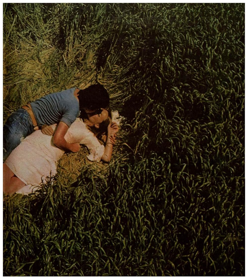 きんぽうげの画像