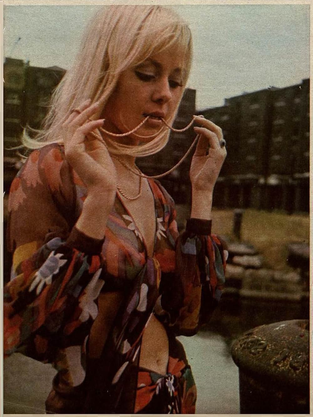 きんぽうげの画像