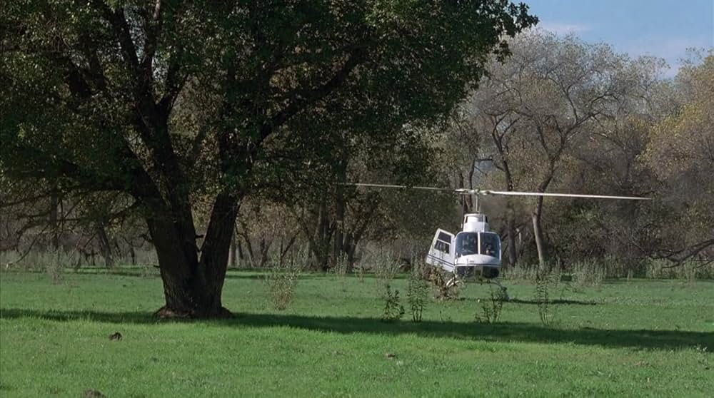 ワイルド・スモーカーズの画像