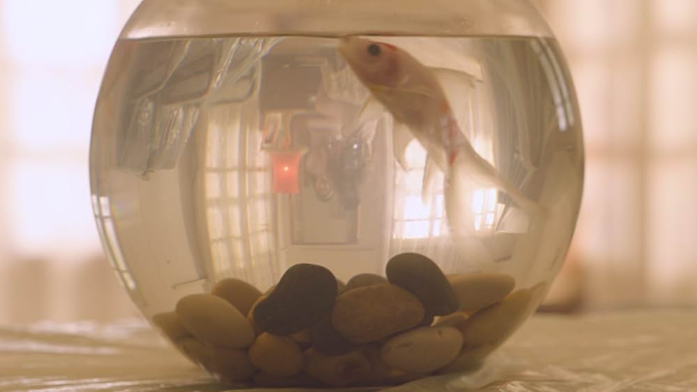 天国と大地の間での画像