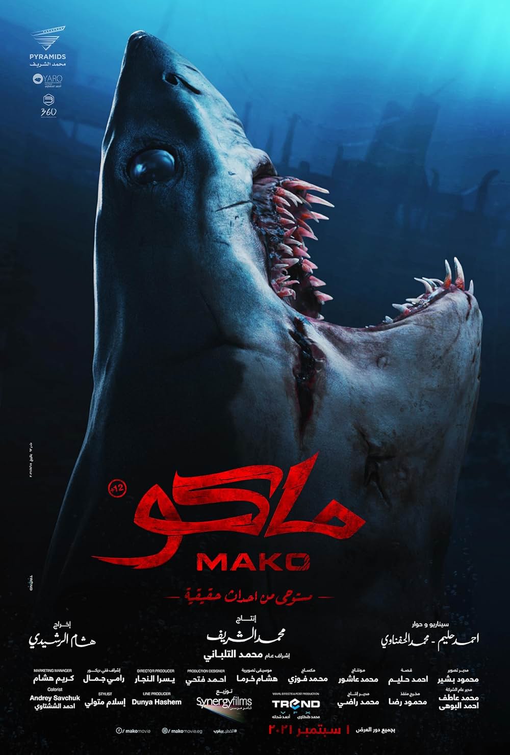 Mako 死の沈没船の画像