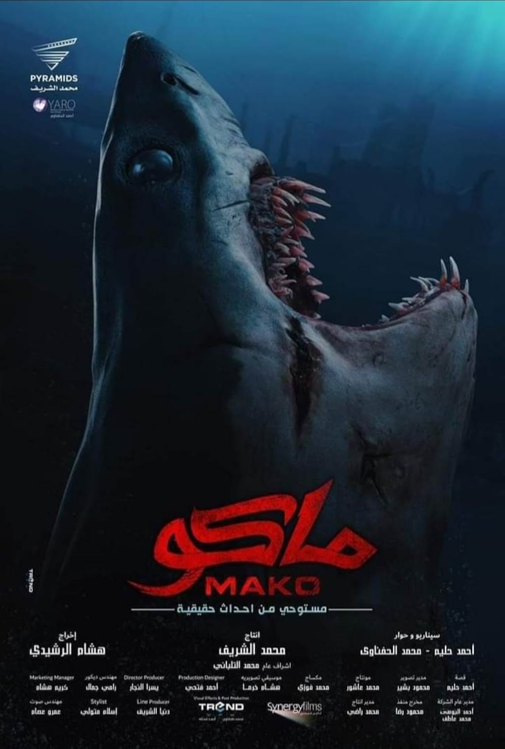 Mako 死の沈没船の画像