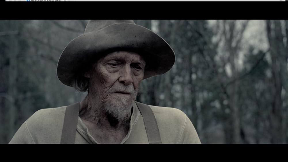 赤と白の錯覚の画像