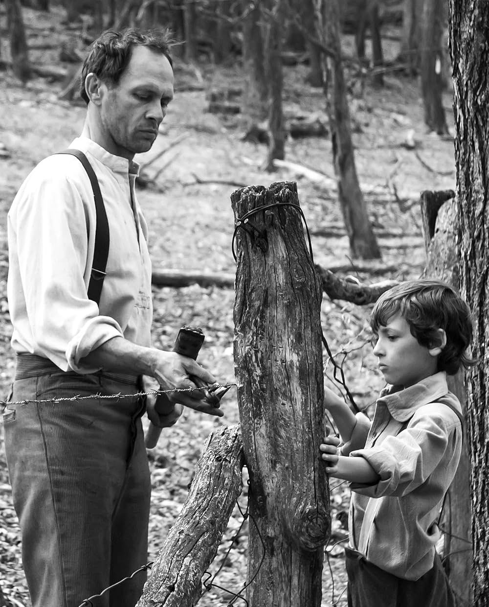 赤と白の錯覚の画像