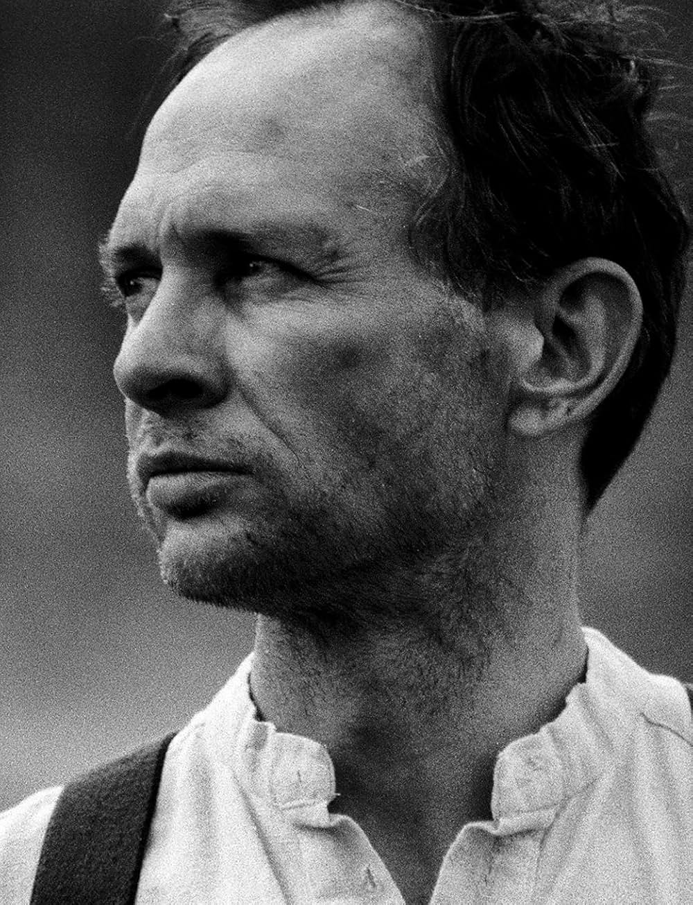 赤と白の錯覚の画像