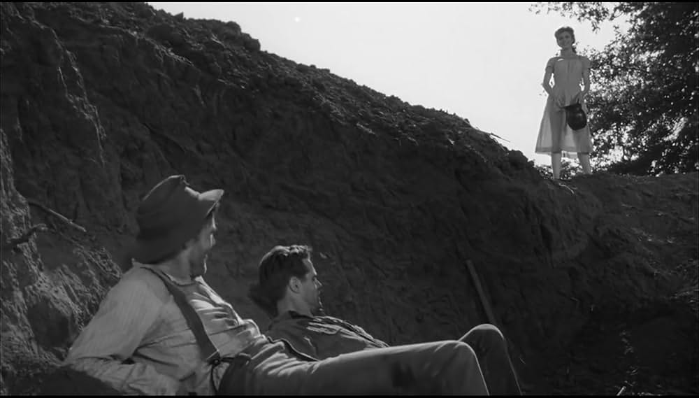 真昼の欲情の画像