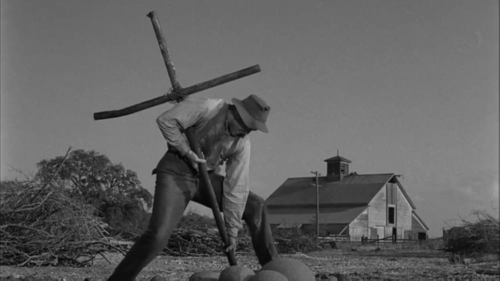 真昼の欲情の画像