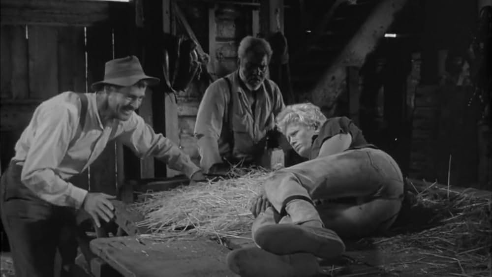 真昼の欲情の画像