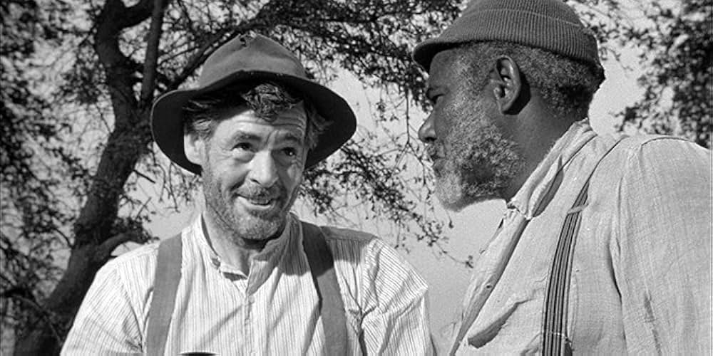 真昼の欲情の画像