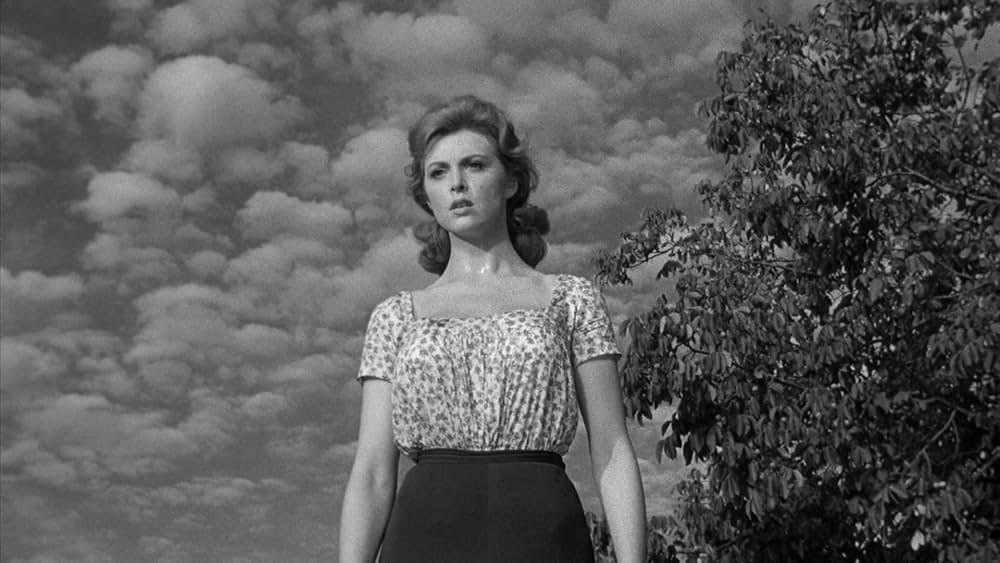 真昼の欲情の画像