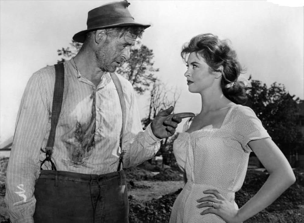 真昼の欲情の画像