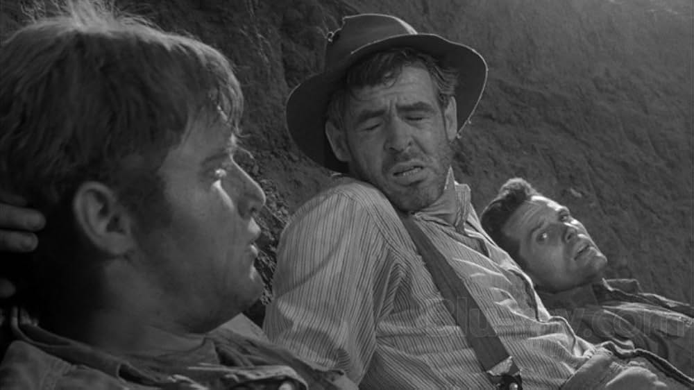 真昼の欲情の画像