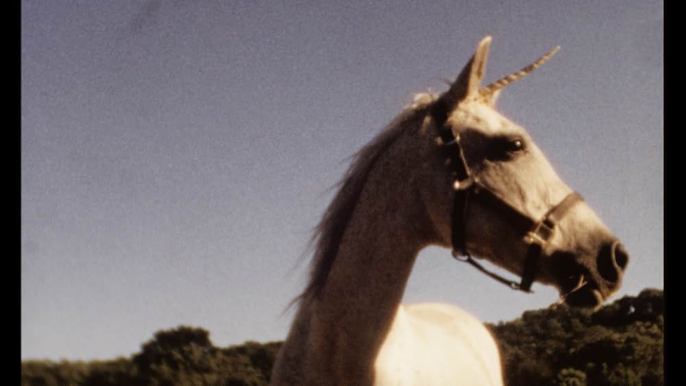 アイ・ビリーブ・イン・ユニコーンズ（原題）の画像