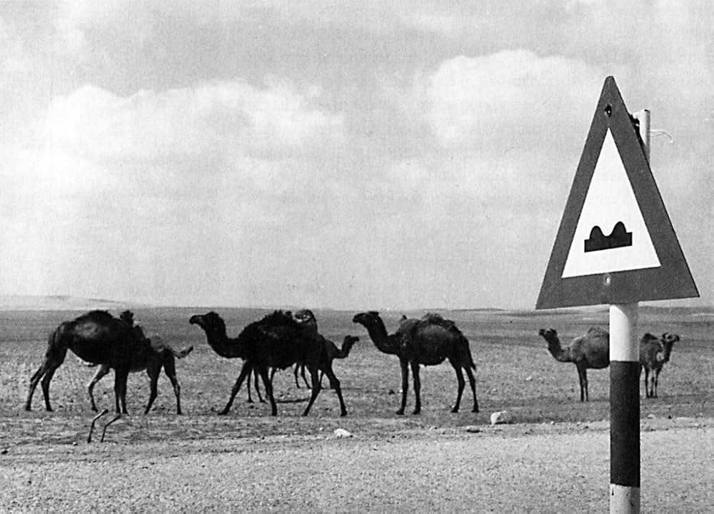 ある闘いの記述の画像