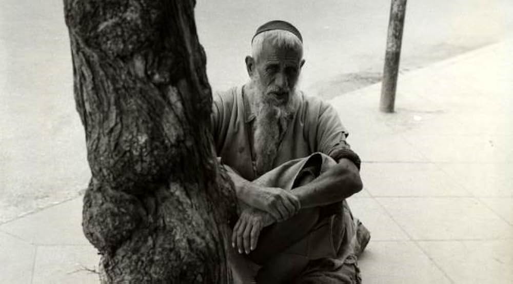 ある闘いの記述の画像