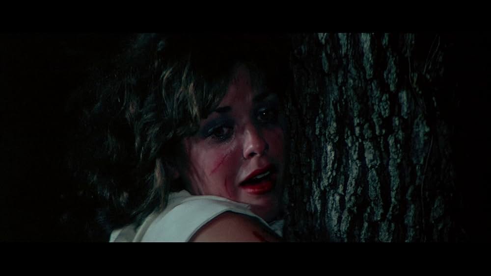 「The Town That Dreaded Sundown（原題）」の画像