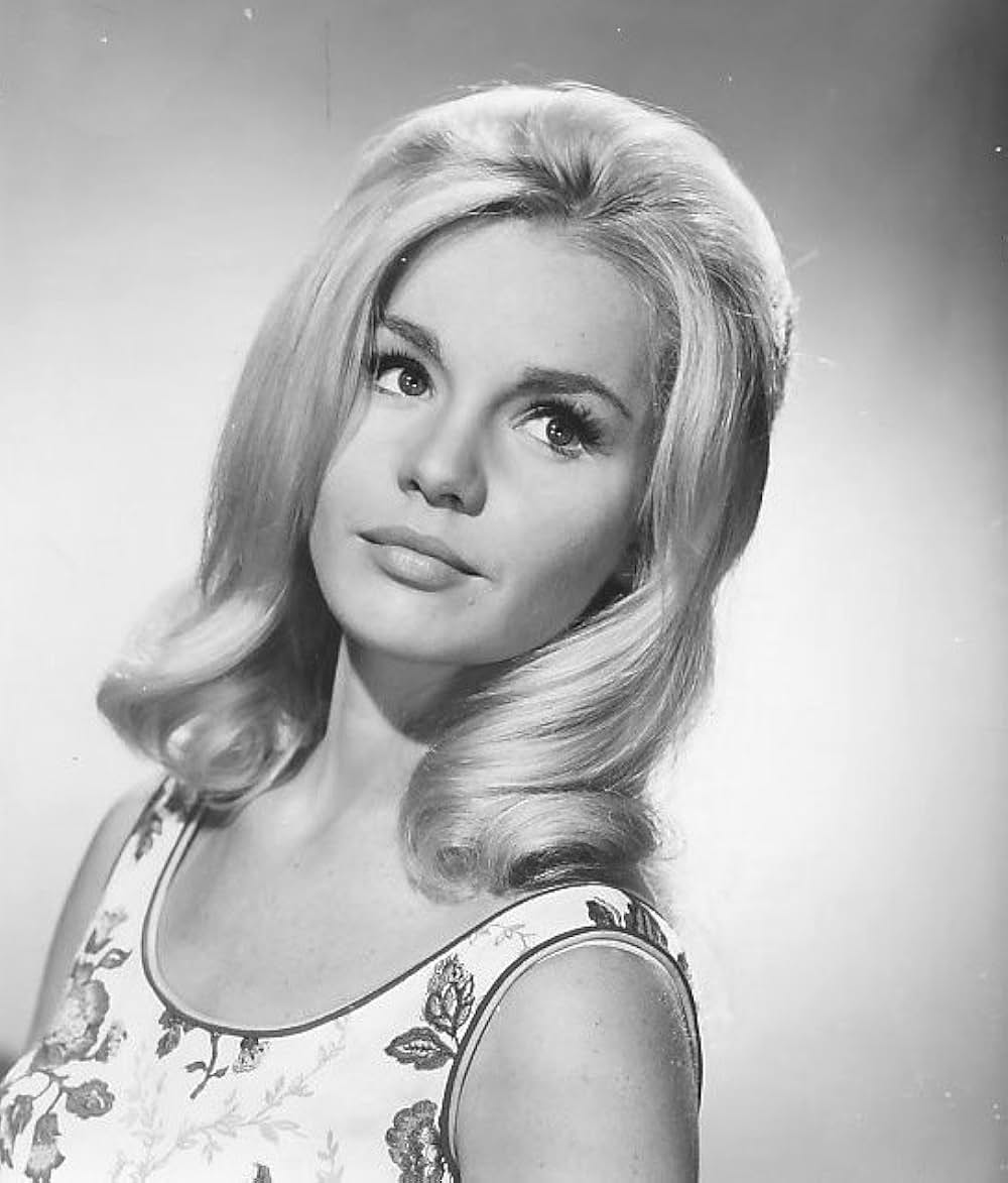 雨の中の兵隊の画像