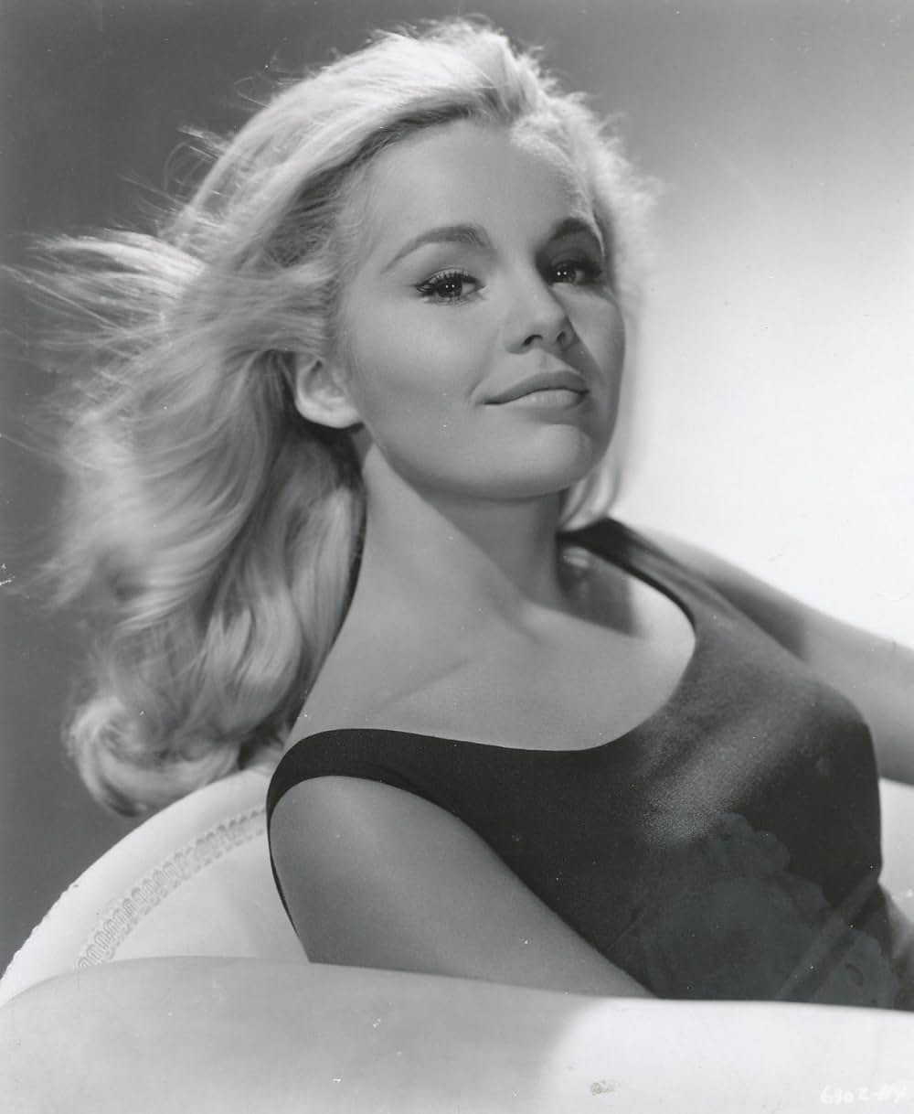 雨の中の兵隊の画像