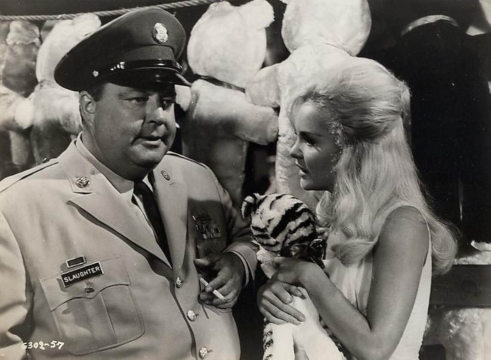 雨の中の兵隊の画像