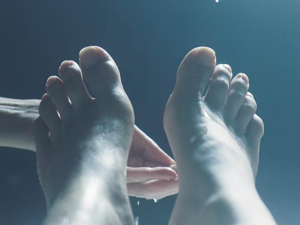 ジョイランド わたしの願いの画像