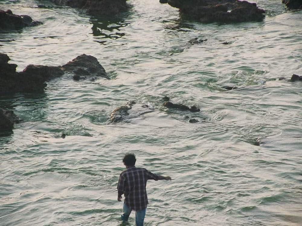 ジョイランド わたしの願いの画像