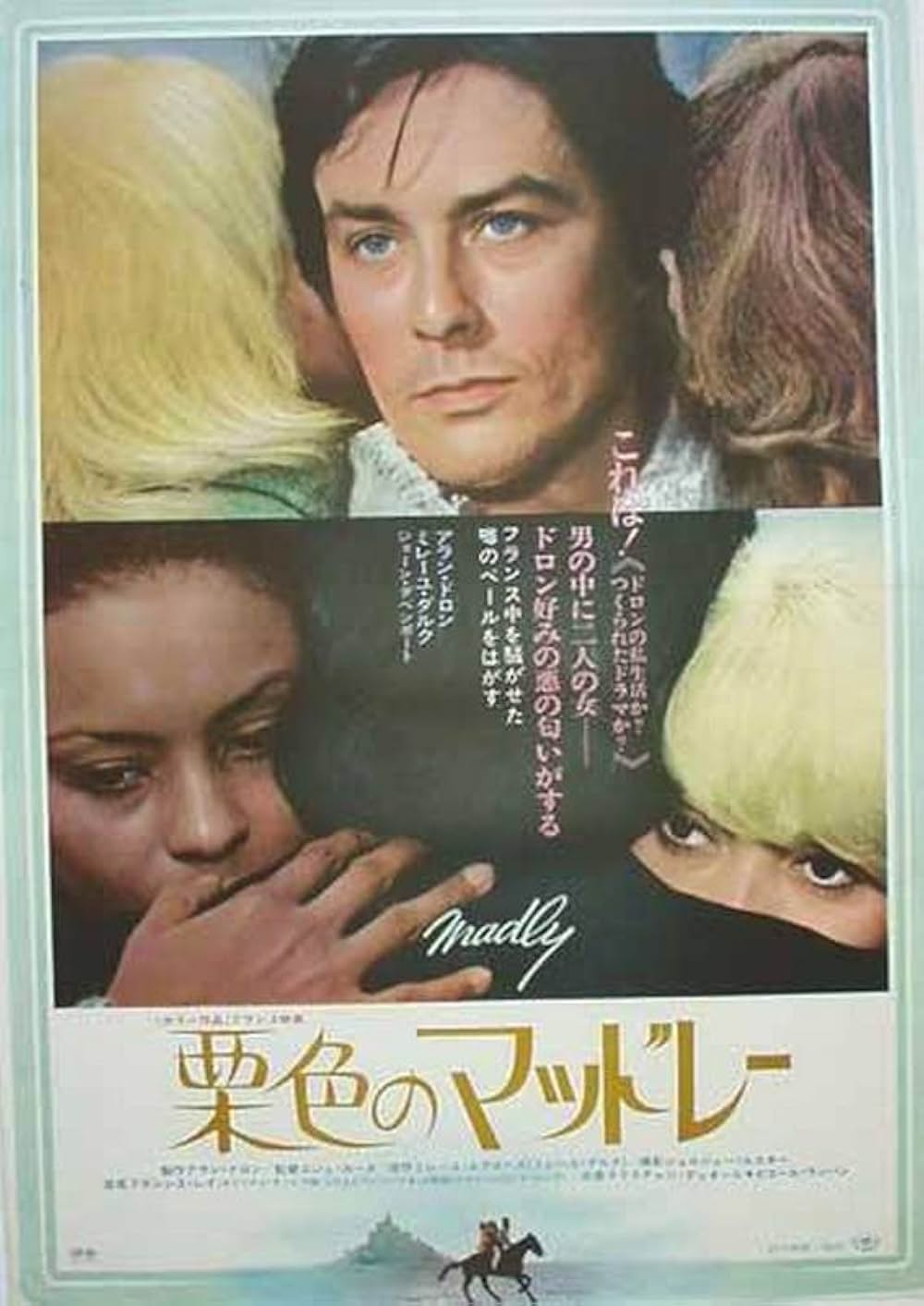 栗色のマッドレーの画像