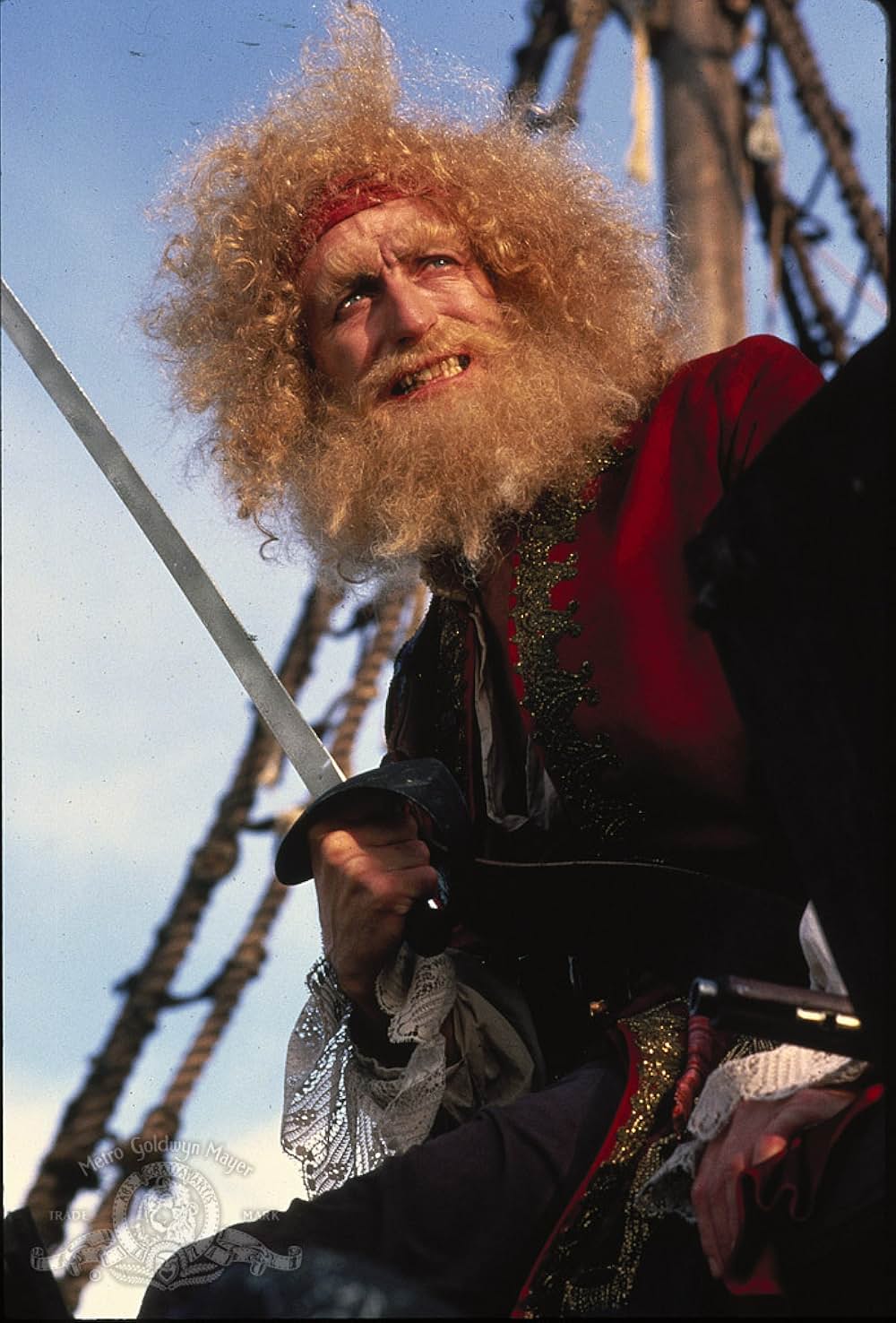 チーチ&チョン／イエローパイレーツの画像