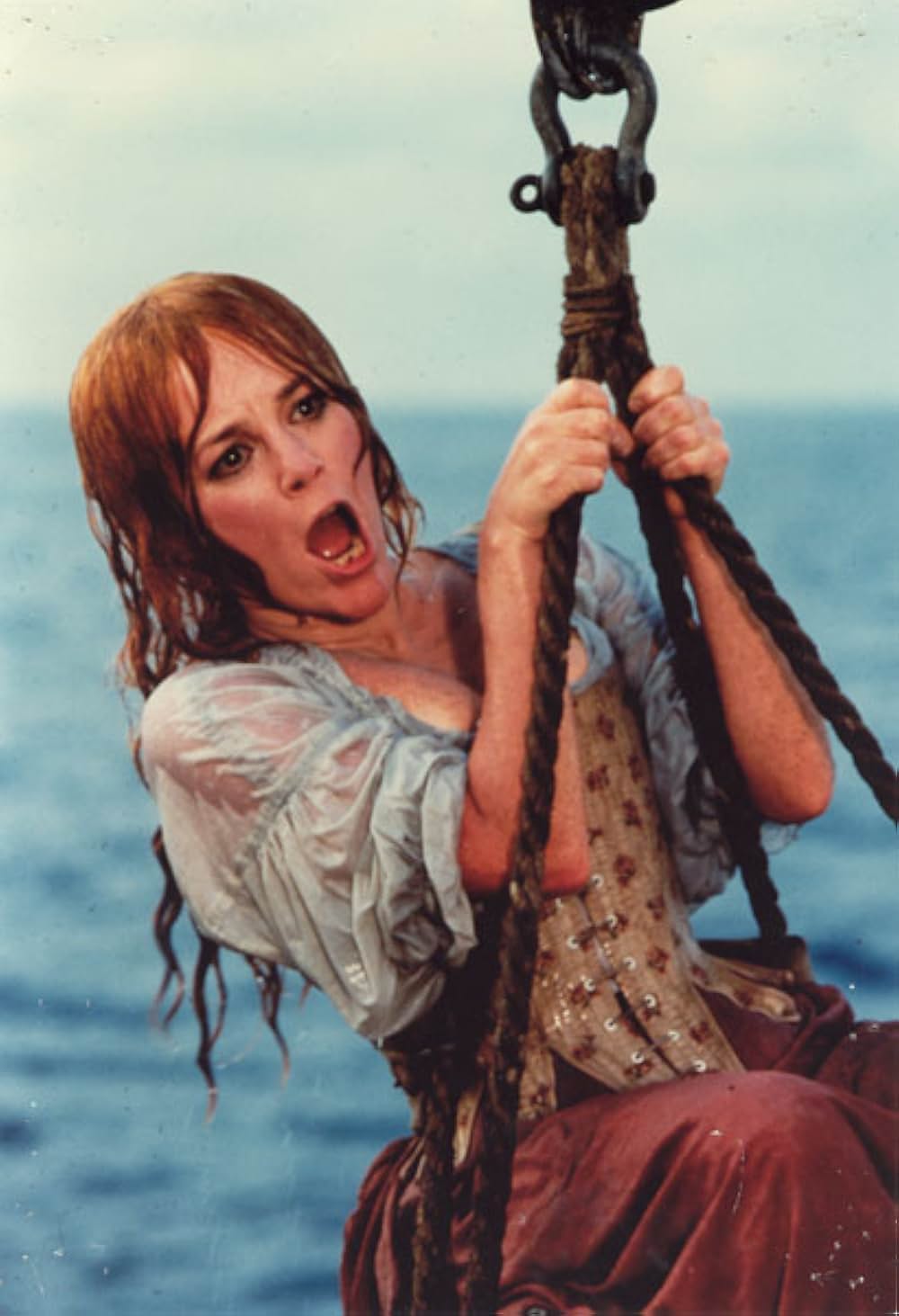 チーチ&チョン／イエローパイレーツの画像