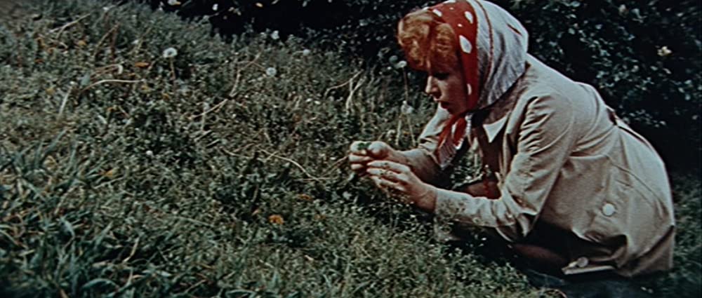 「スイート・チャリティ」シャーリー・マクレーンの画像