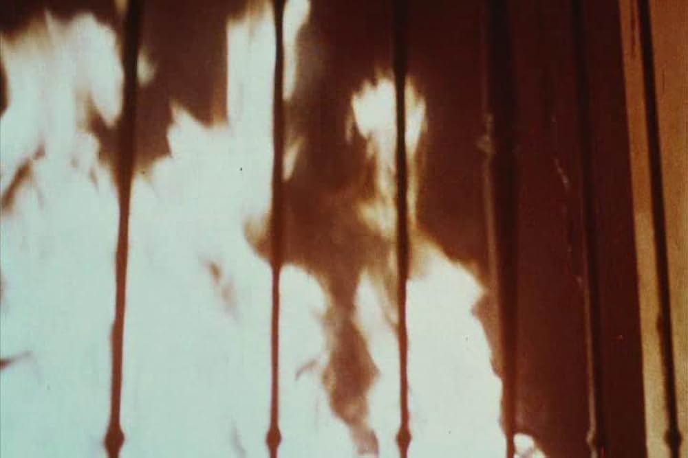 ライバルの画像