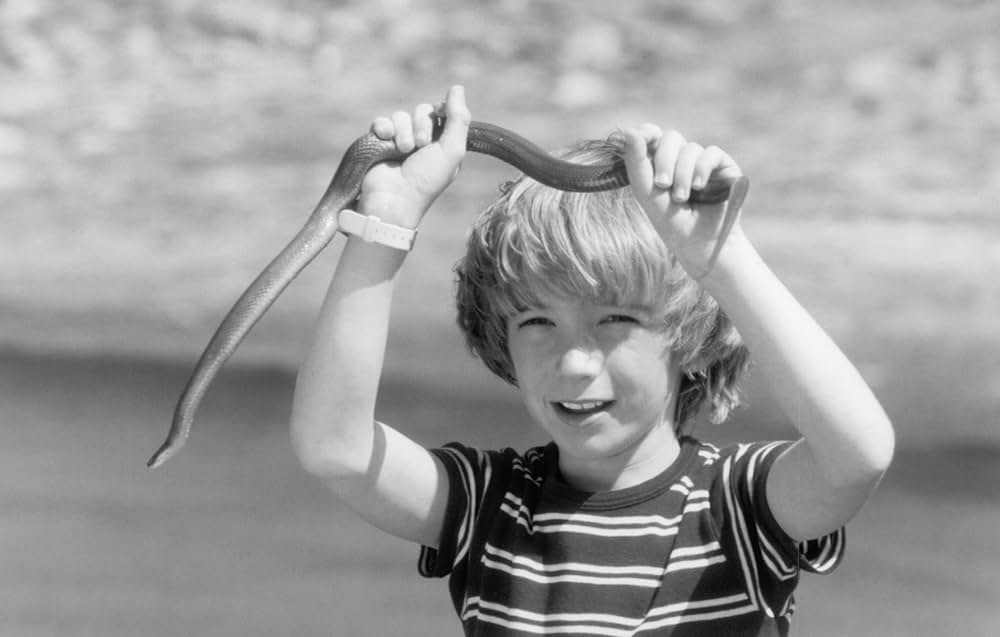 永遠のアフリカの画像