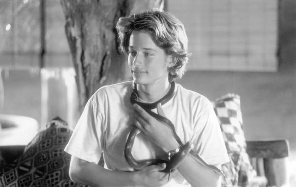 永遠のアフリカの画像