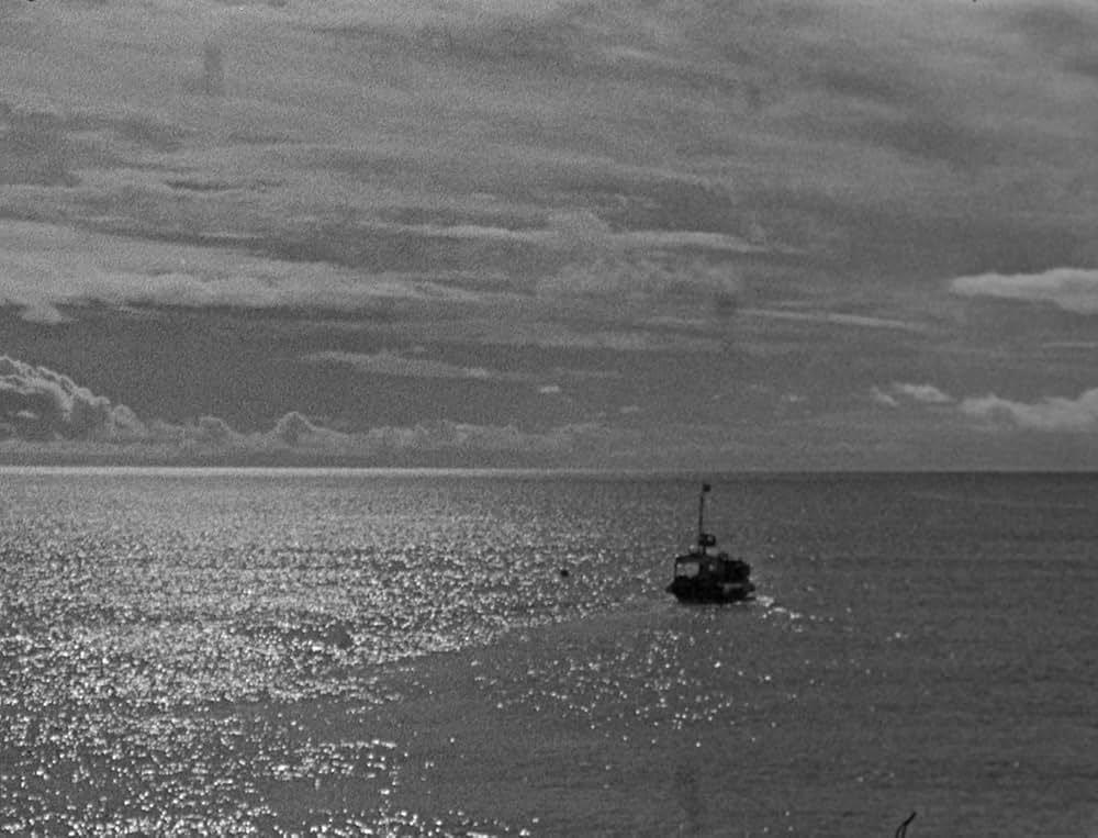 ベイト（餌）の画像