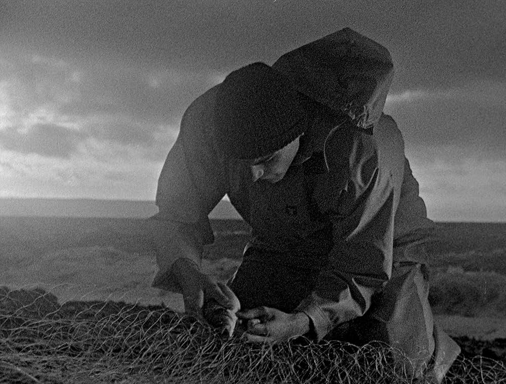 ベイト（餌）の画像